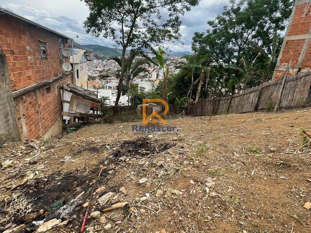 #RN100 - Terreno para Venda em Manhuaçu - MG - 2