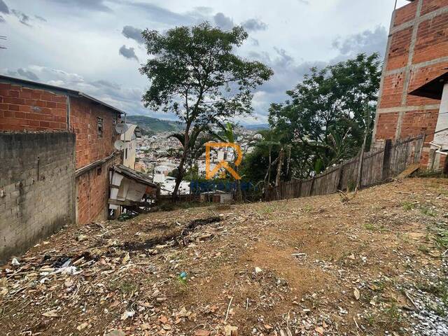 #RN100 - Terreno para Venda em Manhuaçu - MG - 1