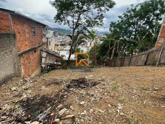 #RN100 - Terreno para Venda em Manhuaçu - MG - 3