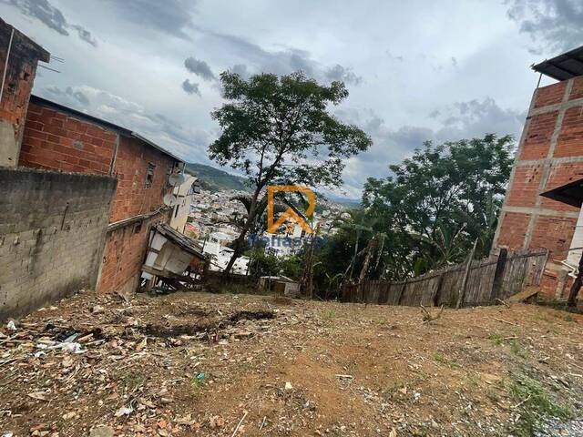 Terreno para Venda em Manhuaçu - 4