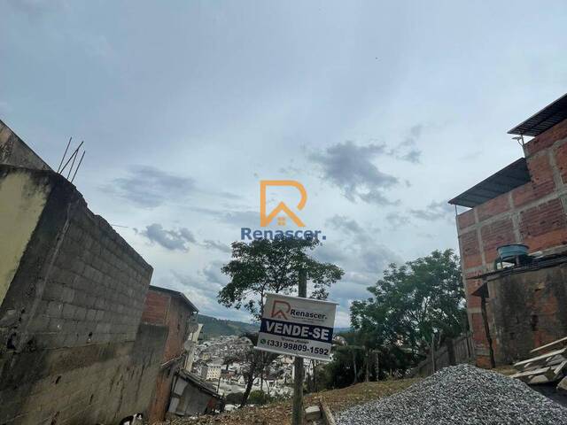 Terreno para Venda em Manhuaçu - 5