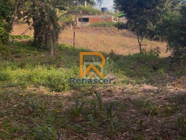 #rn112 - Chácara para Venda em Manhuaçu - MG - 2