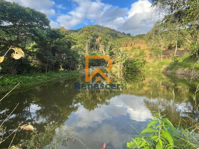 Chácara para Venda em Manhuaçu - 4