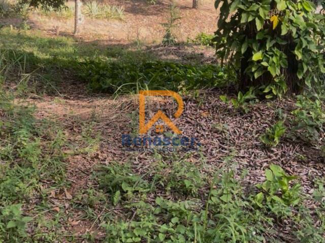 Chácara para Venda em Manhuaçu - 5