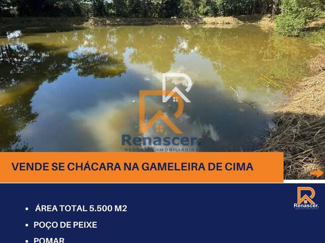 #rn112 - Chácara para Venda em Manhuaçu - MG - 1