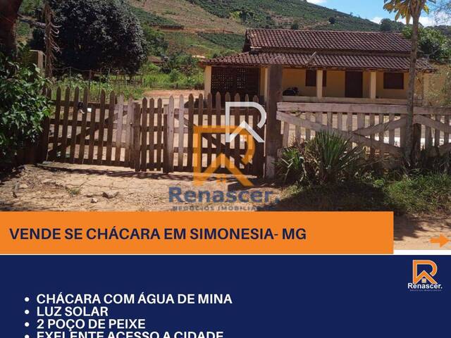 #rn115 - Chácara para Venda em Simonésia - MG - 1