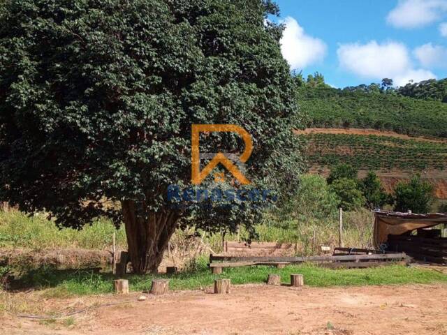 #rn115 - Chácara para Venda em Simonésia - MG - 2