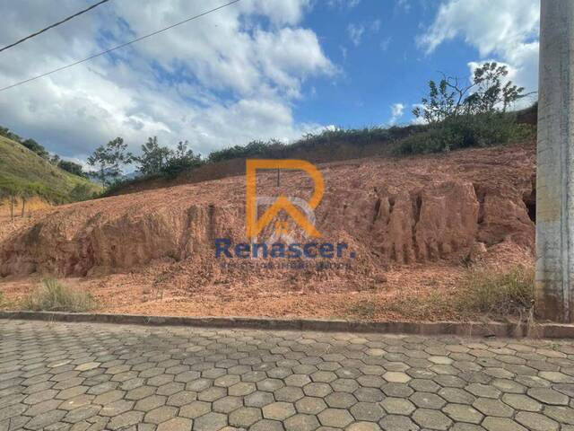 #rn117 - Área para Venda em Manhuaçu - MG - 3