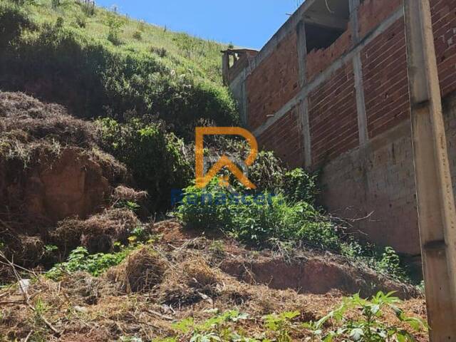 Área para Venda em Manhuaçu - 4