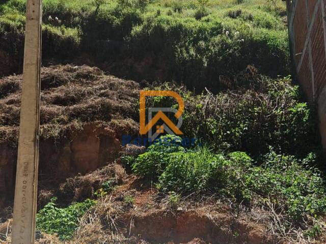 #rn123 - Área para Venda em Manhuaçu - MG - 3
