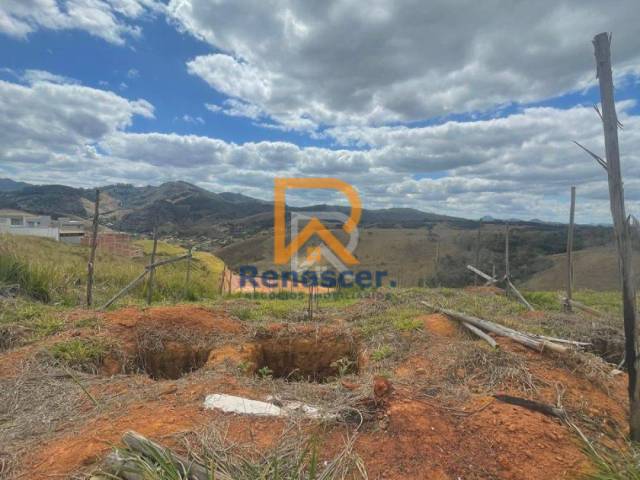 Área para Venda em Manhuaçu - 5