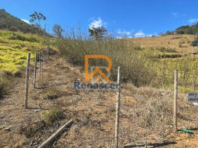 Área para Venda em Manhuaçu - 5