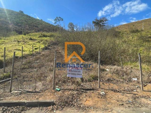 Área para Venda em Manhuaçu - 5