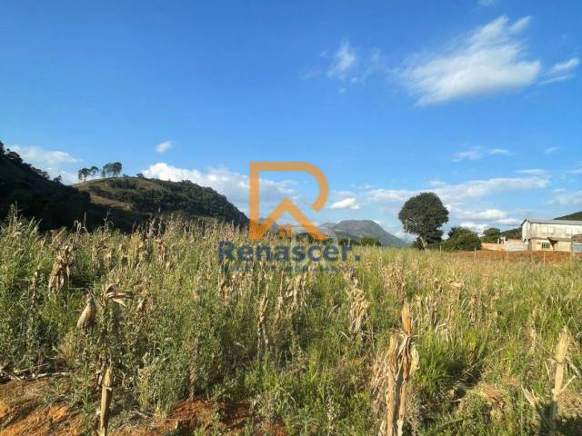 Área para Venda em Manhuaçu - 5