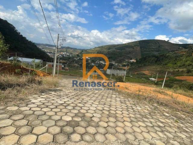 #rn136 - Área para Venda em Manhuaçu - MG - 2