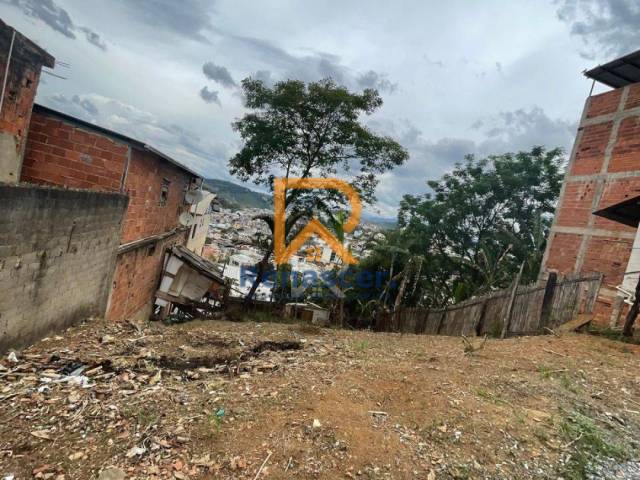 Área para Venda em Manhuaçu - 4