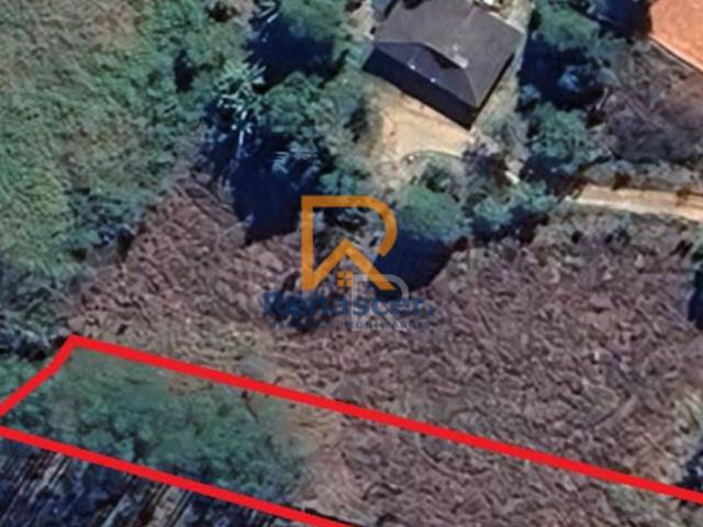 #rn150 - Chácara para Venda em Manhuaçu - MG - 2