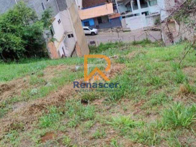 #rn154 - Área para Venda em Manhuaçu - MG - 3