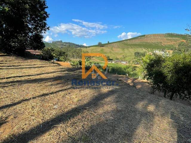#rn162 - Chácara para Venda em Manhuaçu - MG - 2