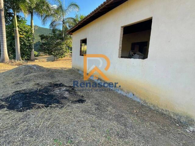 #rn162 - Chácara para Venda em Manhuaçu - MG - 3