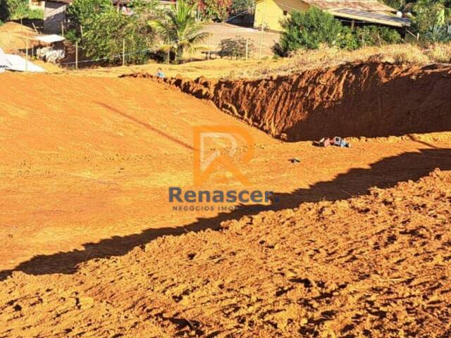 Chácara para Venda em Manhuaçu - 5