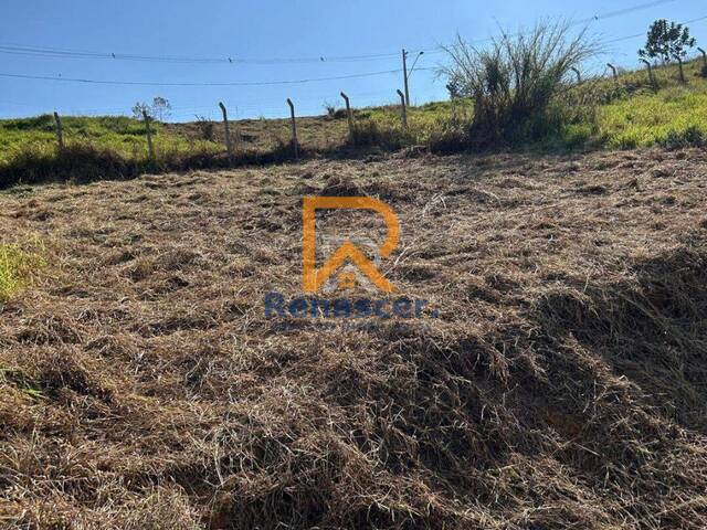 Área para Venda em Manhuaçu - 3