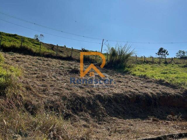 Área para Venda em Manhuaçu - 5