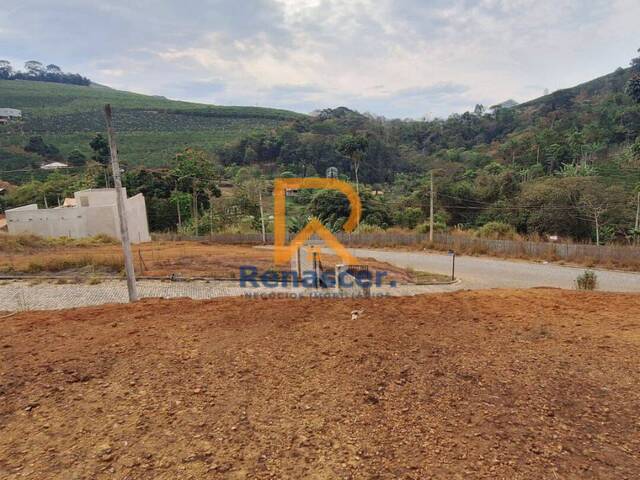 Área para Venda em Manhuaçu - 4