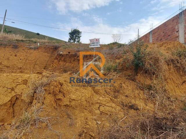 Área para Venda em Manhuaçu - 5
