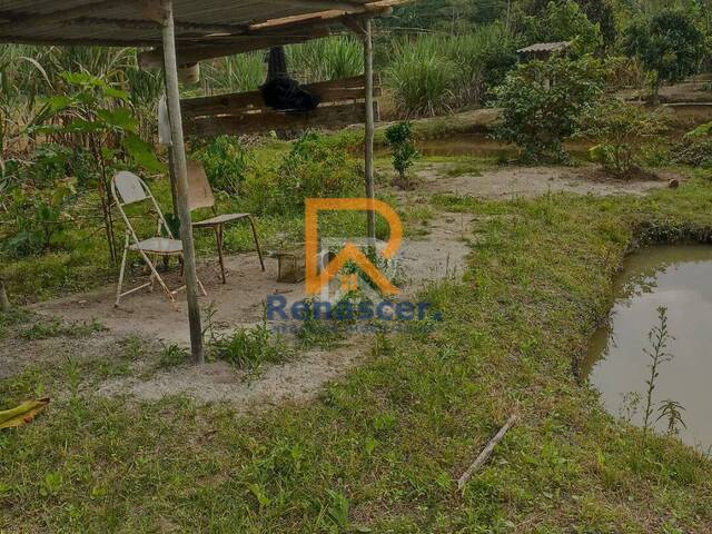 Chácara para Venda em Manhuaçu - 3