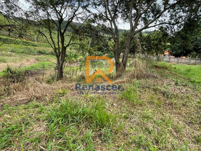 Área para Venda em Manhuaçu - 2