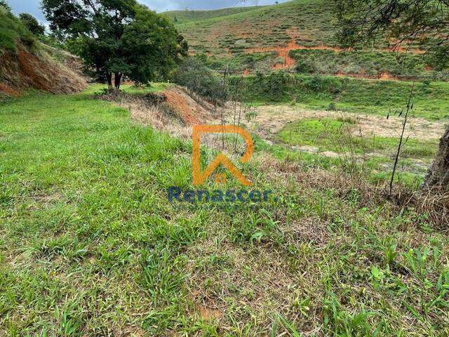 Área para Venda em Manhuaçu - 3