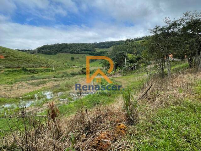 Área para Venda em Manhuaçu - 4