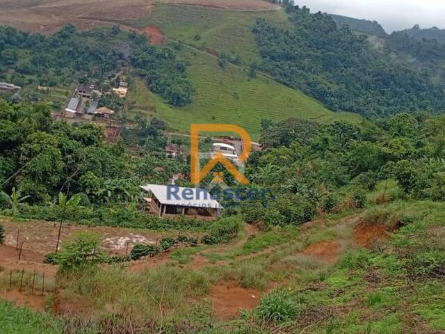 Chácara para Venda em Manhuaçu - 3