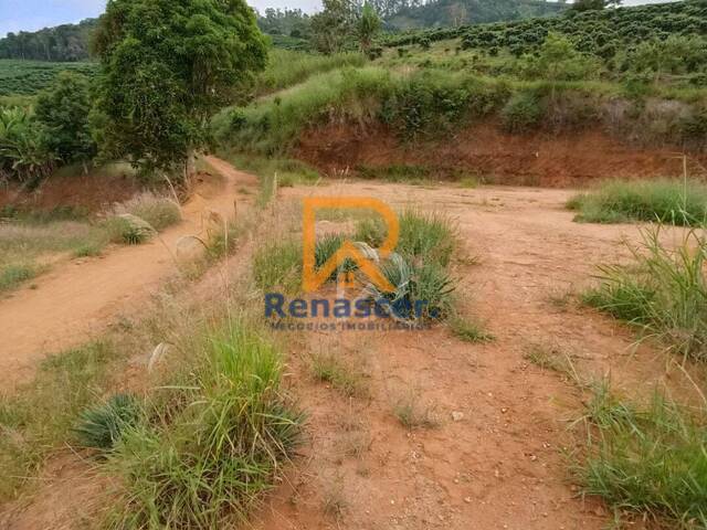 Área para Venda em Manhuaçu - 4