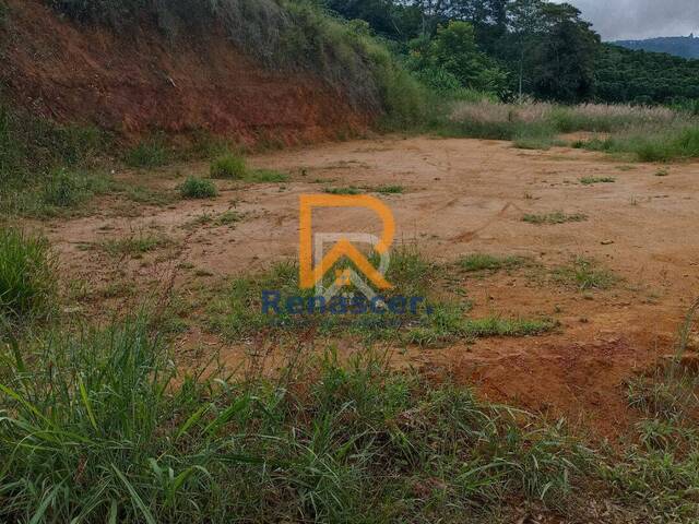 Área para Venda em Manhuaçu - 5