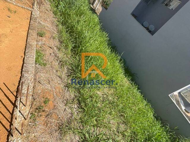 Área para Venda em Manhuaçu - 2