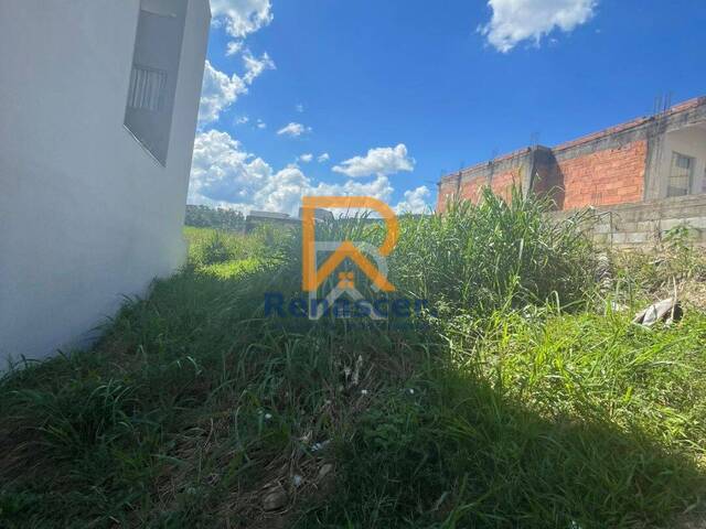 Área para Venda em Manhuaçu - 4