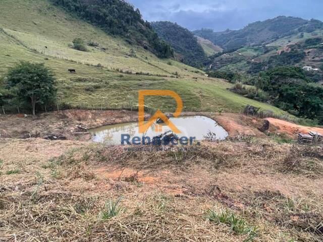 Área para Venda em Manhuaçu - 2