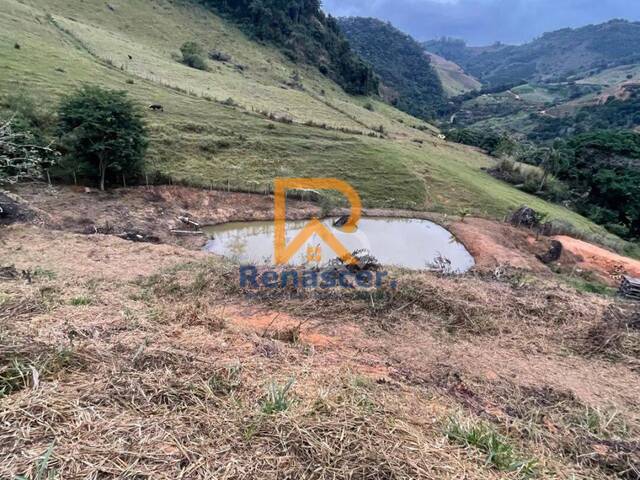 Área para Venda em Manhuaçu - 4