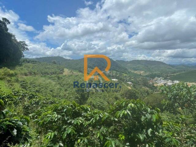 Chácara para Venda em Manhuaçu - 3