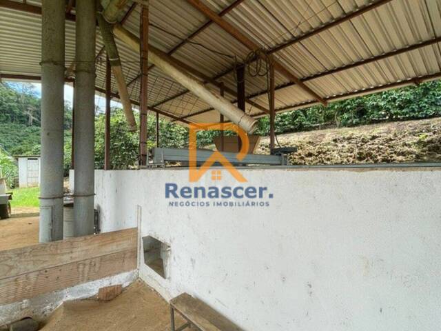 Chácara para Venda em Manhuaçu - 5