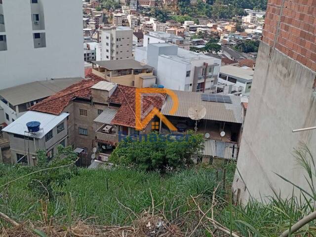 Área para Venda em Manhuaçu - 5