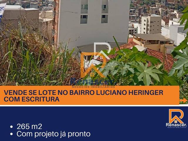 Venda em Luciano Heringer - Manhuaçu
