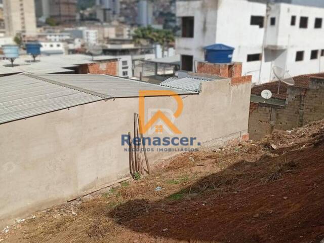 Área para Venda em Manhuaçu - 3